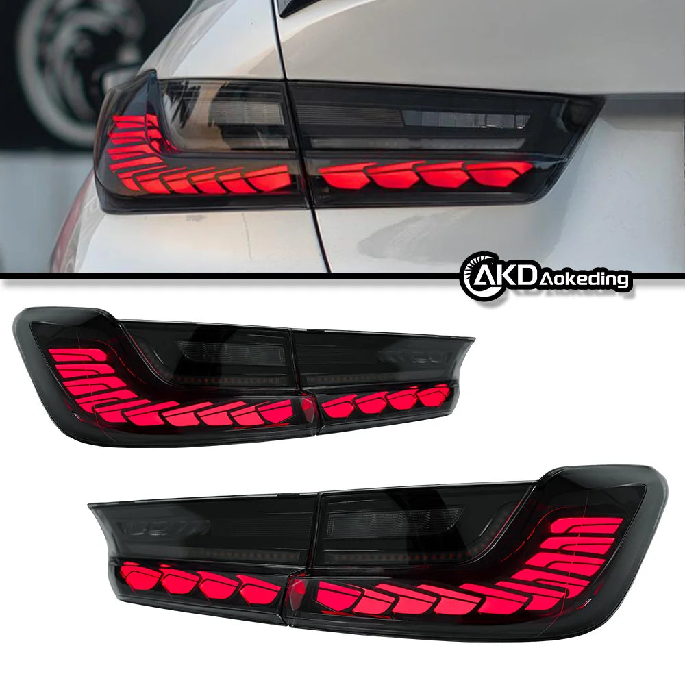 Tail Lamp for BMW G20 G28 2019-2023 3-series Rear Lights Fog Reverse DRL Signal